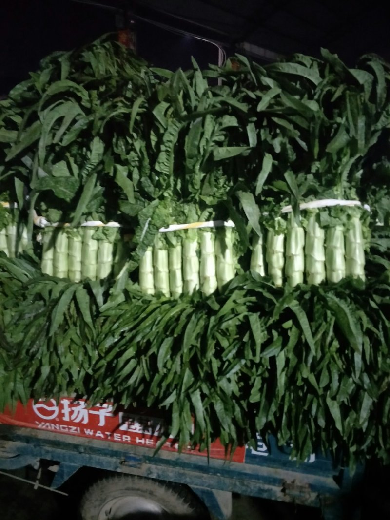 基地货源，产地直销，无空心，无花头，质量保证