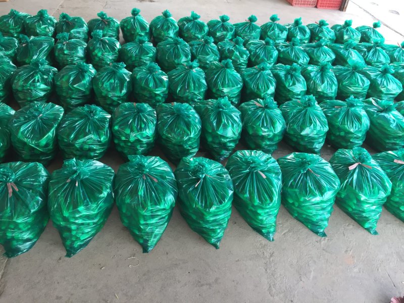 红叶香莴苣质量好价格低量大从优欢迎咨询