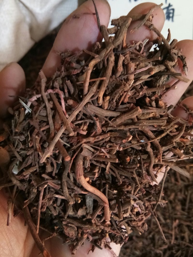 茜草河南野生茜草干净无杂一公斤起包邮