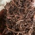 茜草河南野生茜草干净无杂一公斤起包邮