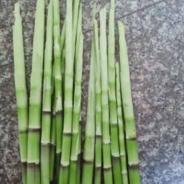 小笋剥壳