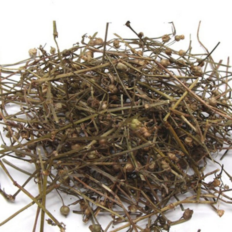 白花蛇舌草