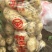 大量供应荷兰十五土豆