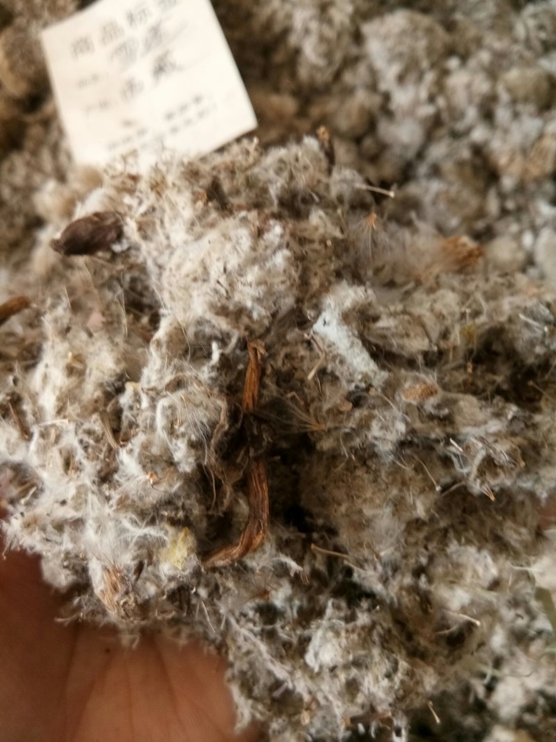 雪莲花干货西藏特产藏雪莲实拍图一公斤起包邮