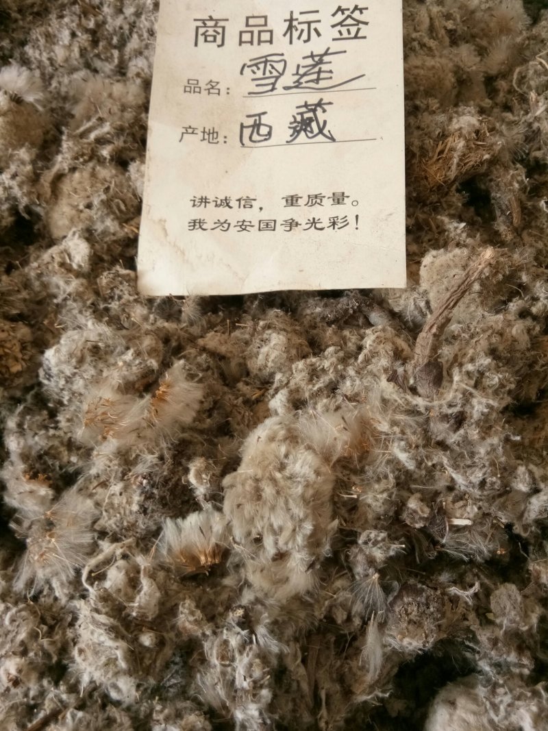 雪莲花干货西藏特产藏雪莲实拍图一公斤起包邮