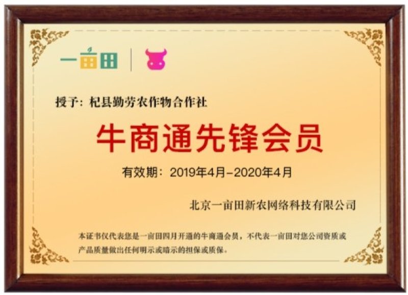 【按需代工】家乡特产农家自制纯红薯宽粉条商超