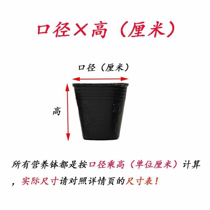 营养钵营养袋营养杯包邮（新疆海南等地除外）