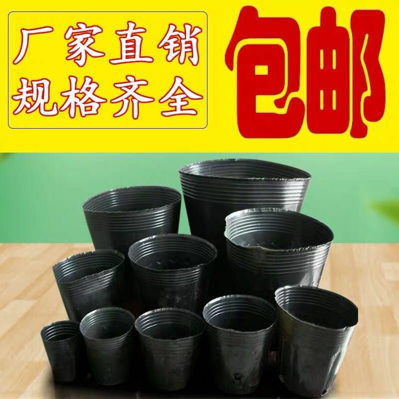 营养钵营养袋营养杯包邮（新疆海南等地除外）