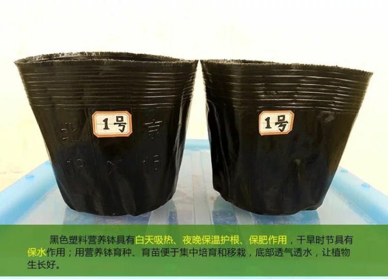 营养钵营养袋营养杯包邮（新疆海南等地除外）