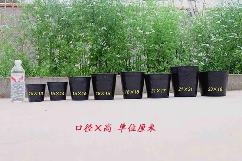 营养钵营养袋营养杯包邮（新疆海南等地除外）