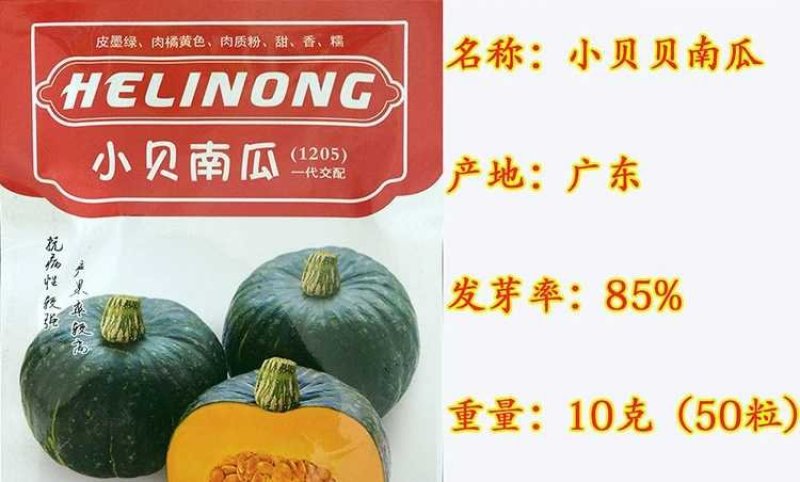 进口迷你贝贝南瓜种子