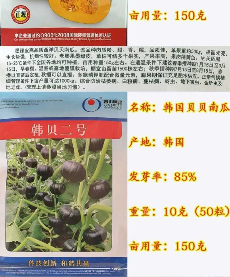 进口迷你贝贝南瓜种子