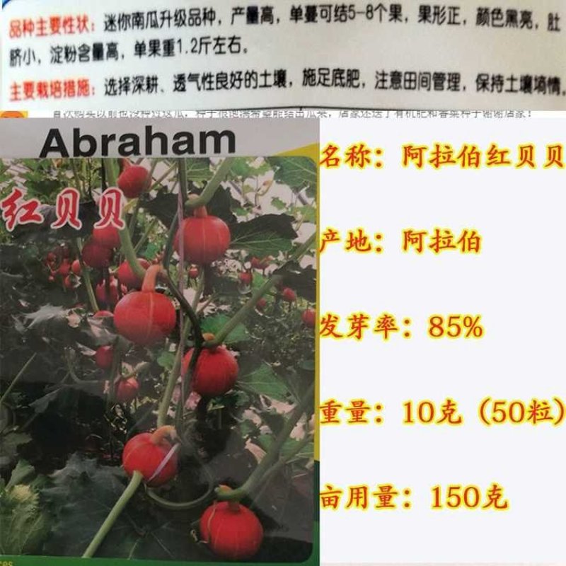 进口迷你贝贝南瓜种子