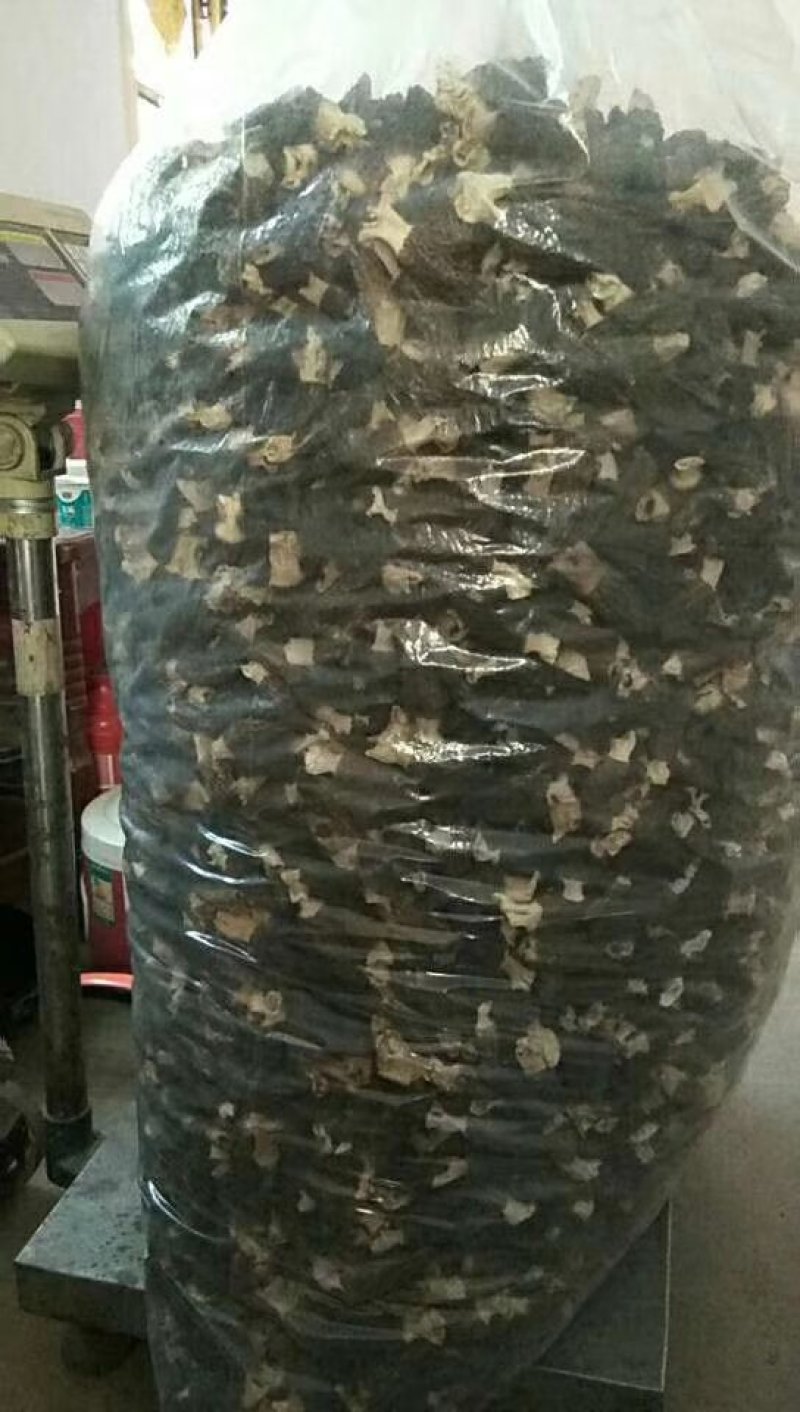 羊肚菌热卖中，需要的朋友快快联系。错过这次又要等一年了[