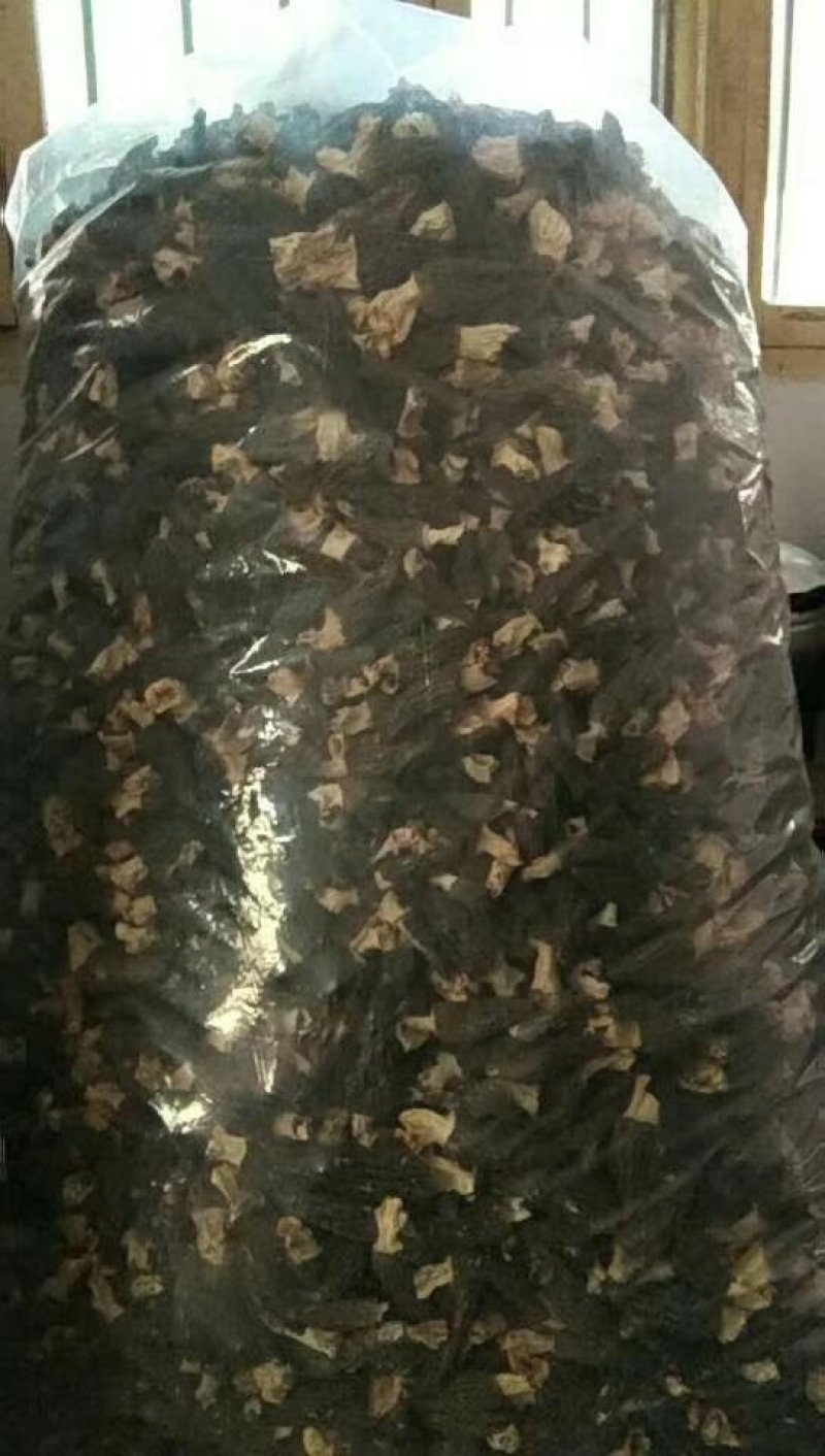 羊肚菌热卖中，需要的朋友快快联系。错过这次又要等一年了[