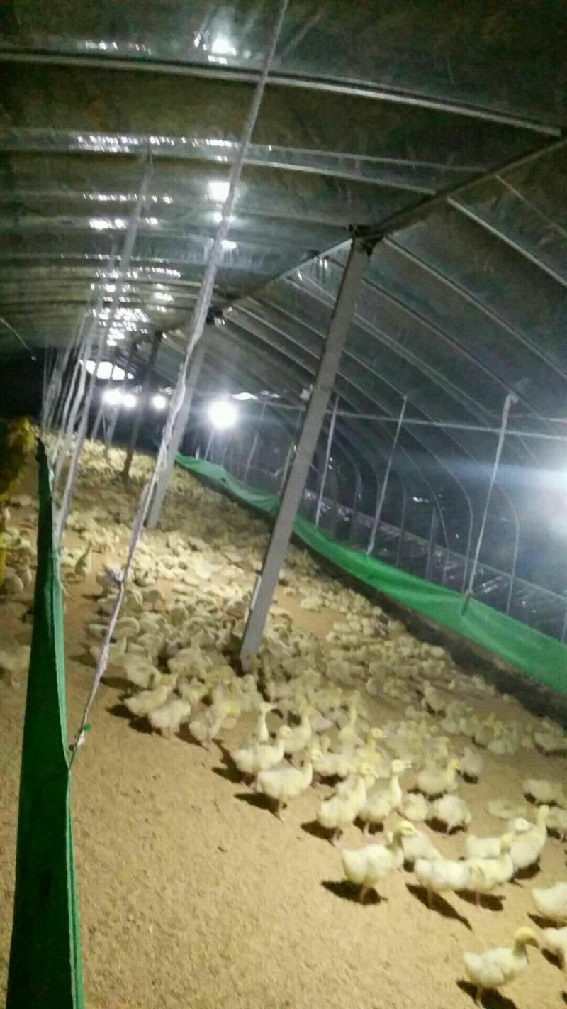 养殖场出租优惠