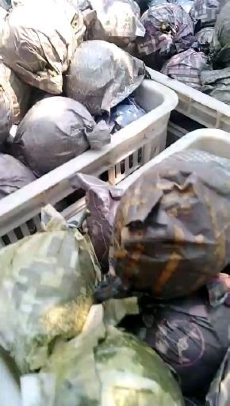 山东冠县绿宝石梨脆甜爽口，产地一手货源，可一件代发