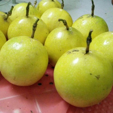 广东纯甜无酸钦蜜九黄金果基地直发，微商，座子一件代发