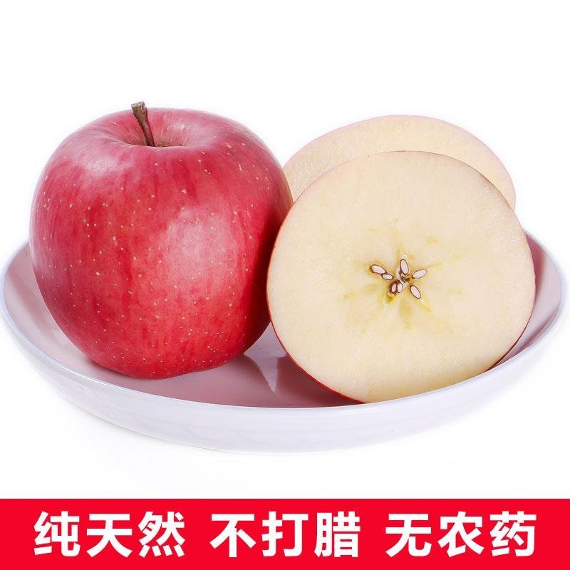陕西延安宜川壶口苹果