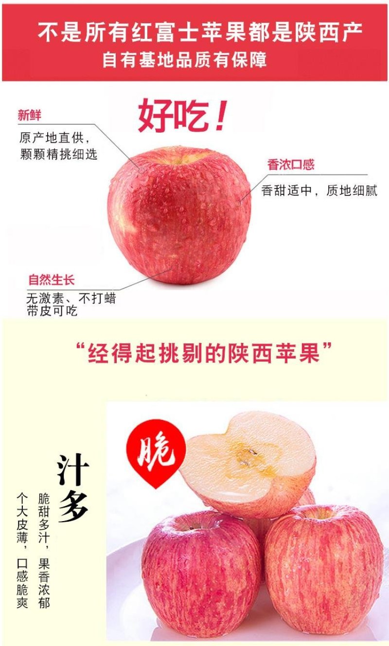 陕西延安宜川壶口苹果