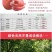 陕西延安宜川壶口苹果