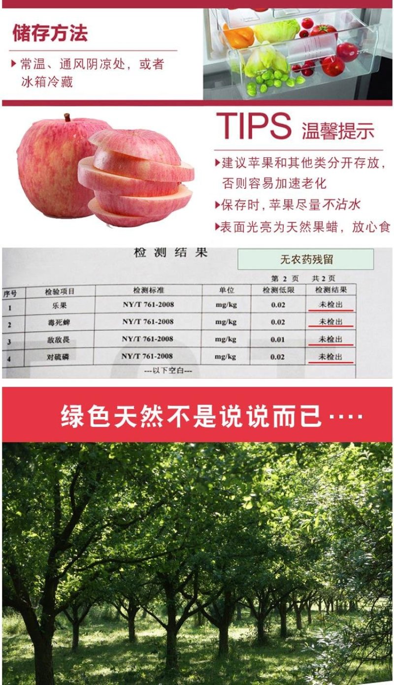 陕西延安宜川壶口苹果