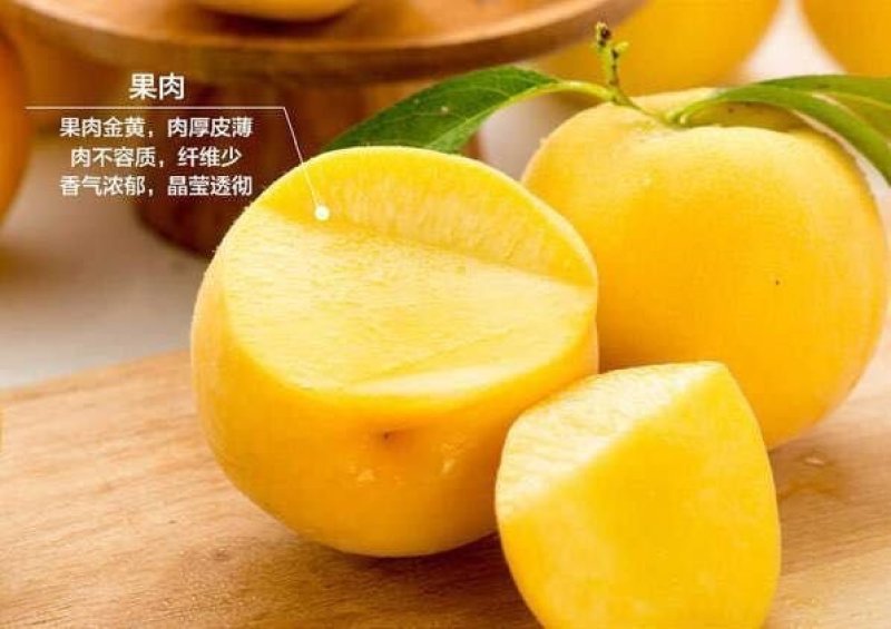 炎陵黄桃10斤礼盒装果园现摘现发新鲜到你家