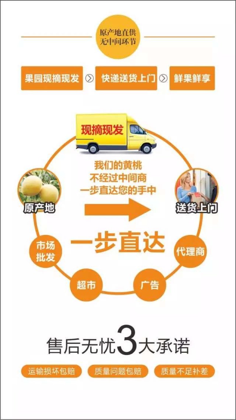 炎陵黄桃10斤礼盒装果园现摘现发新鲜到你家