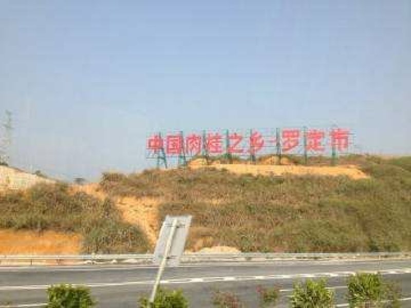 桂皮，玉桂，桶桂