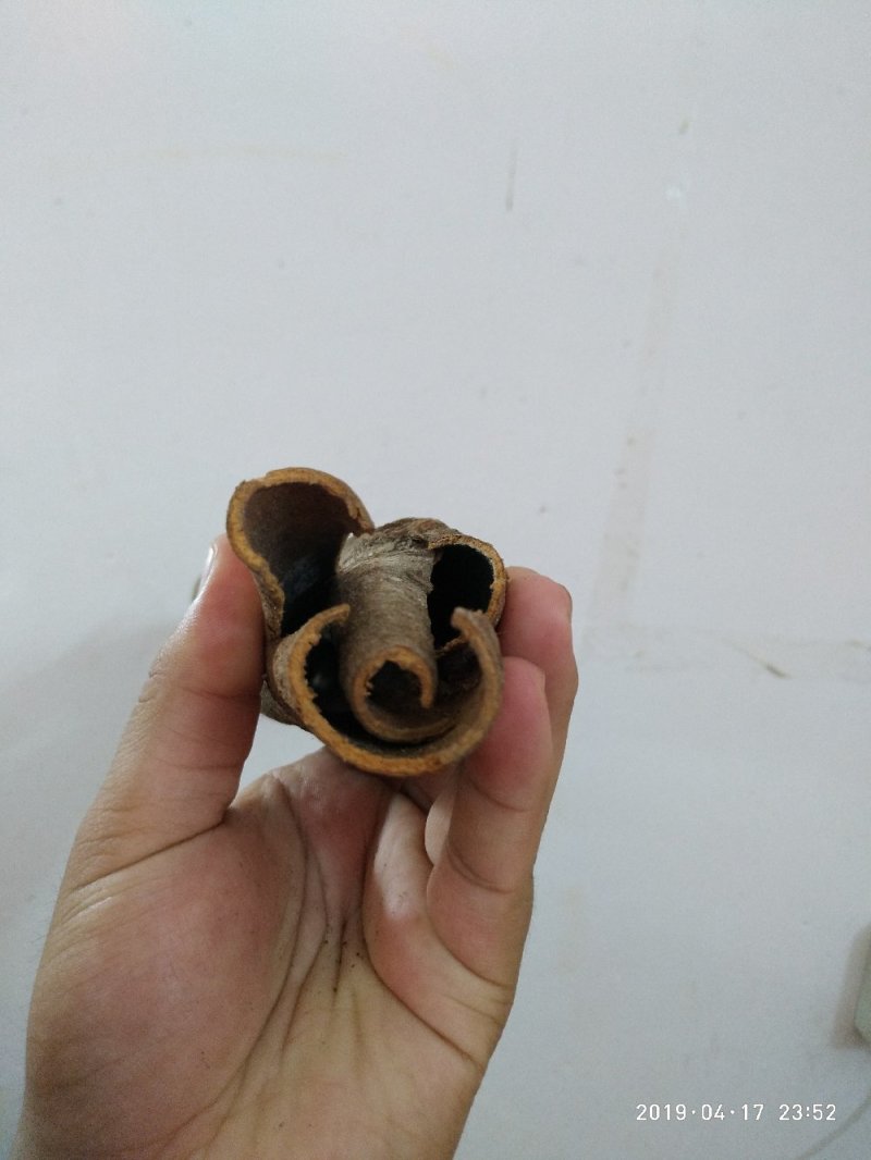 桂皮，玉桂，桶桂