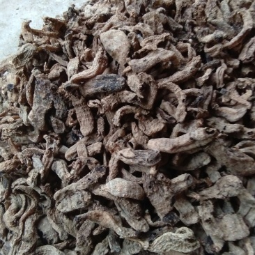 天麻下脚料，直接上药厂无硫足干，质量好价格实惠产地直销。
