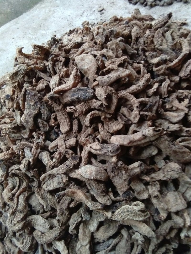 天麻下脚料，直接上药厂无硫足干，质量好价格实惠产地直销。