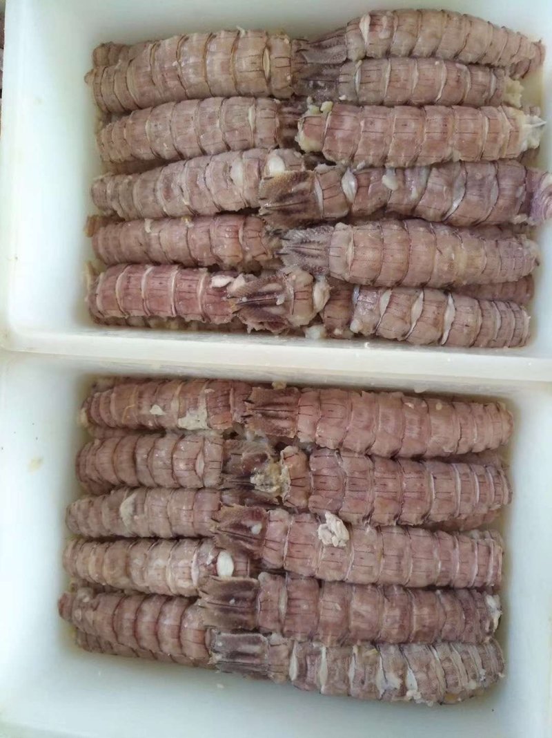 熟冻皮皮虾肉～爬虾肉，虾虎肉虾爬肉支持一件代