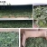 薄荷叶茶中药材薄荷大货含量优自产自销一手货源