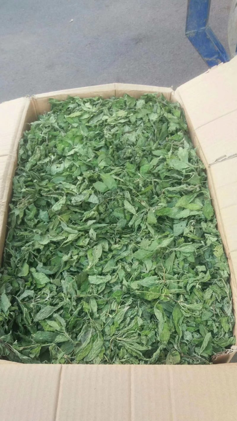 薄荷叶茶中药材薄荷大货含量优自产自销一手货源