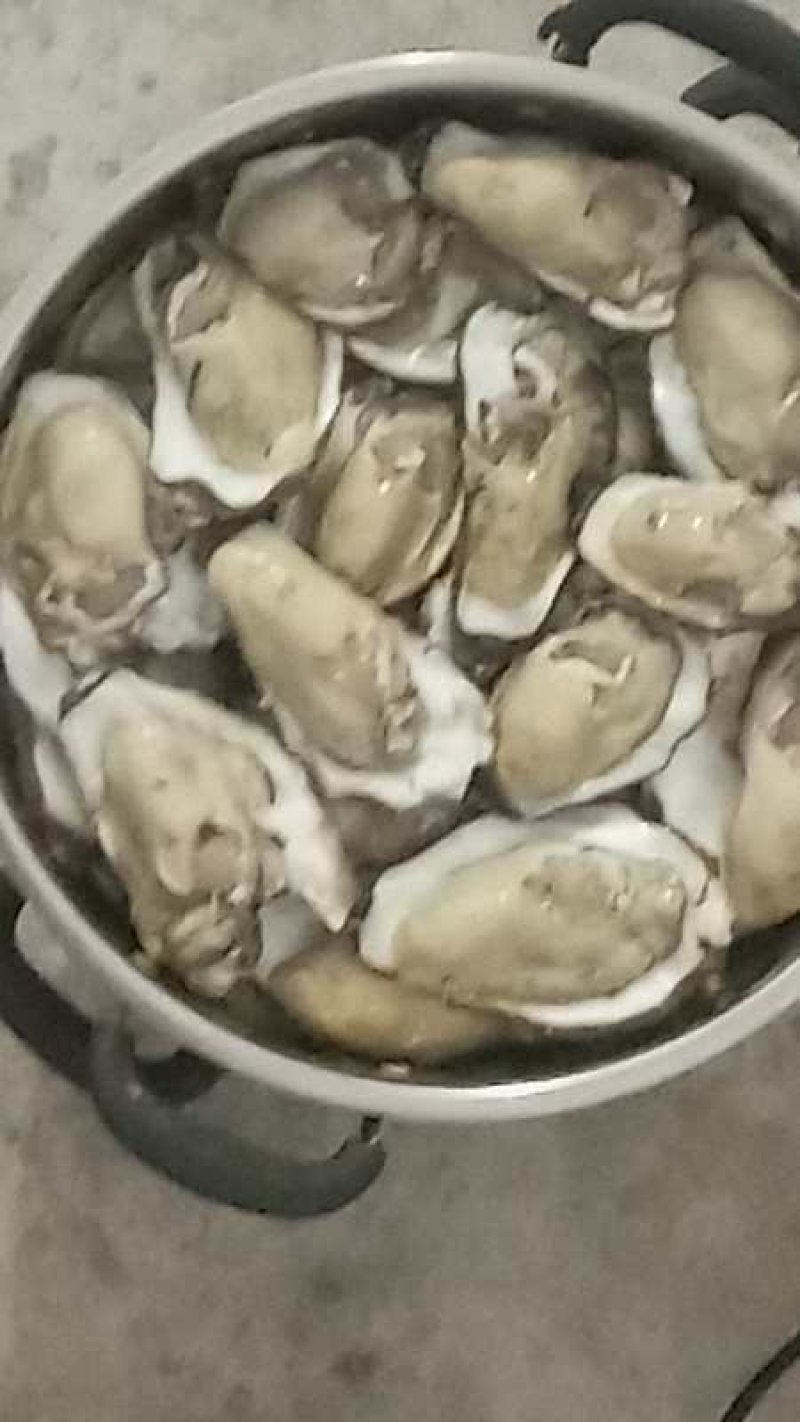 乳山生蚝牡蛎新鲜带壳【2-3两产地直发质量保证，适合烧