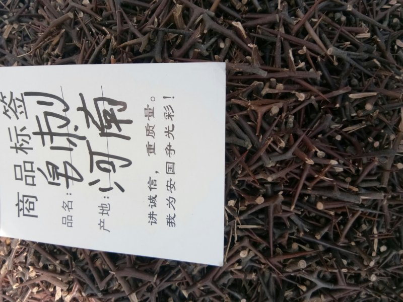 皂刺河南新干货一公斤起包邮