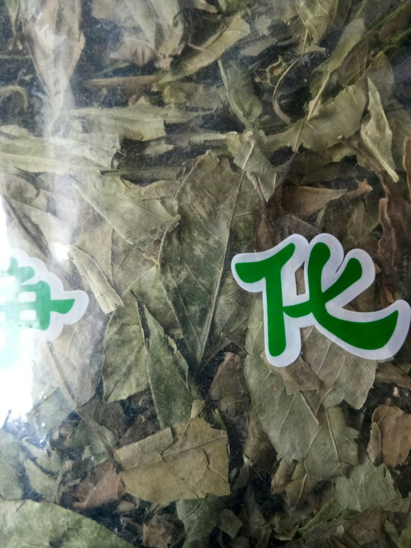 橘叶无硫干货颜色绿干净无杂一公斤起包邮
