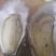 生蚝，乳山生蚝【3两-4两】产地直发，质量保证，适合烧烤