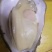 生蚝，乳山生蚝【3两-4两】产地直发，质量保证，适合烧烤