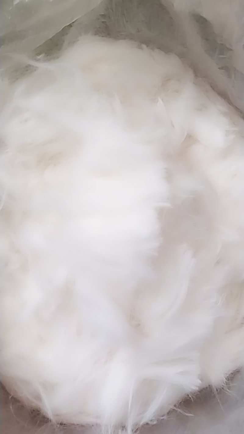 兔毛出售