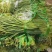 豆角青瓜苦瓜茄子香芋南瓜产地直销支持批发6月份上市