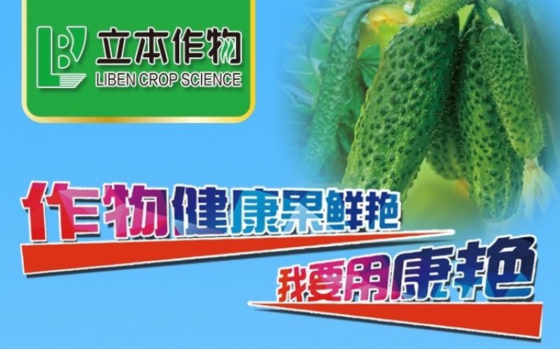 烯酰吗啉杀菌剂黄瓜霜霉病疫病黑茎病菌核病
