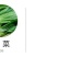 烯酰吗啉杀菌剂黄瓜霜霉病疫病黑茎病菌核病