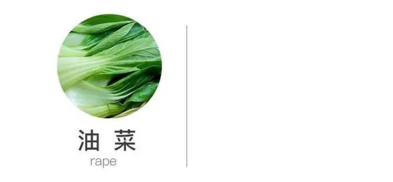 烯酰吗啉杀菌剂黄瓜霜霉病疫病黑茎病菌核病
