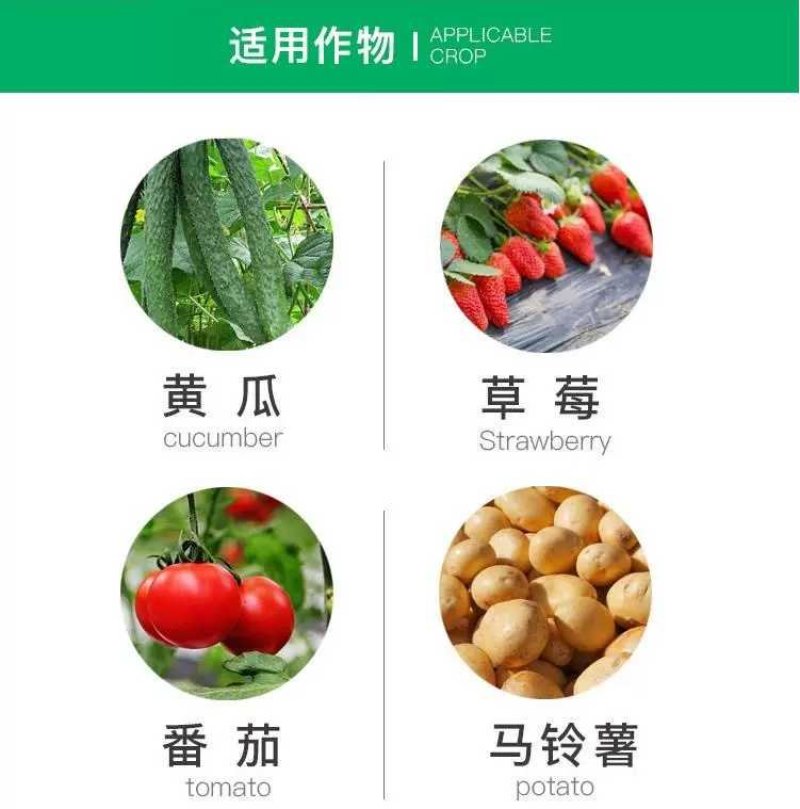 烯酰吗啉杀菌剂黄瓜霜霉病疫病黑茎病菌核病