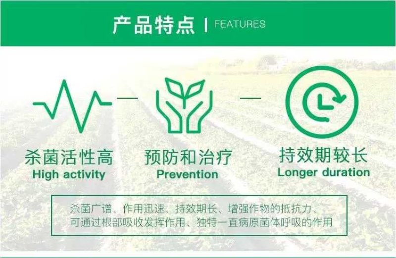 烯酰吗啉杀菌剂黄瓜霜霉病疫病黑茎病菌核病