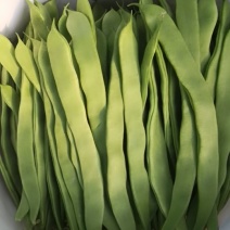 【推荐】大量供应芸豆，诚信经营，欢迎咨询，进店选购。