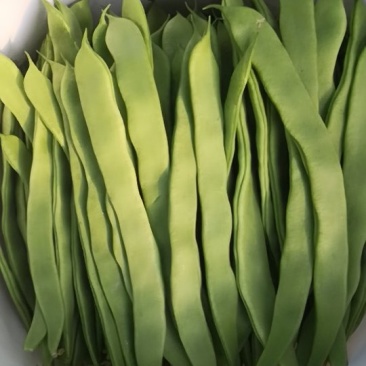 【推荐】大量供应芸豆，诚信经营，欢迎咨询，进店选购。