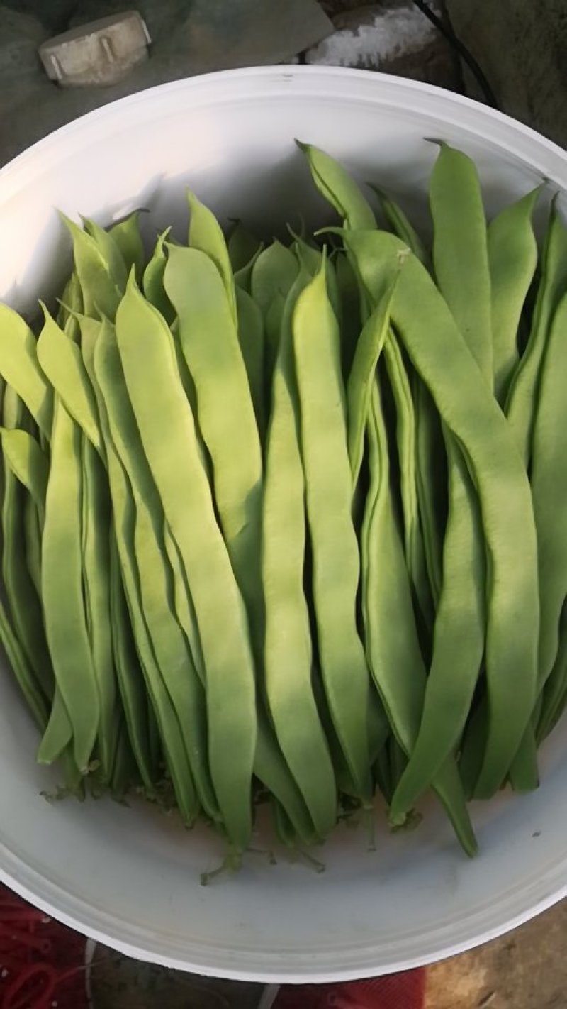 【推荐】大量供应芸豆，诚信经营，欢迎咨询，进店选购。